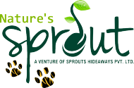 Nature's Sprout Logo