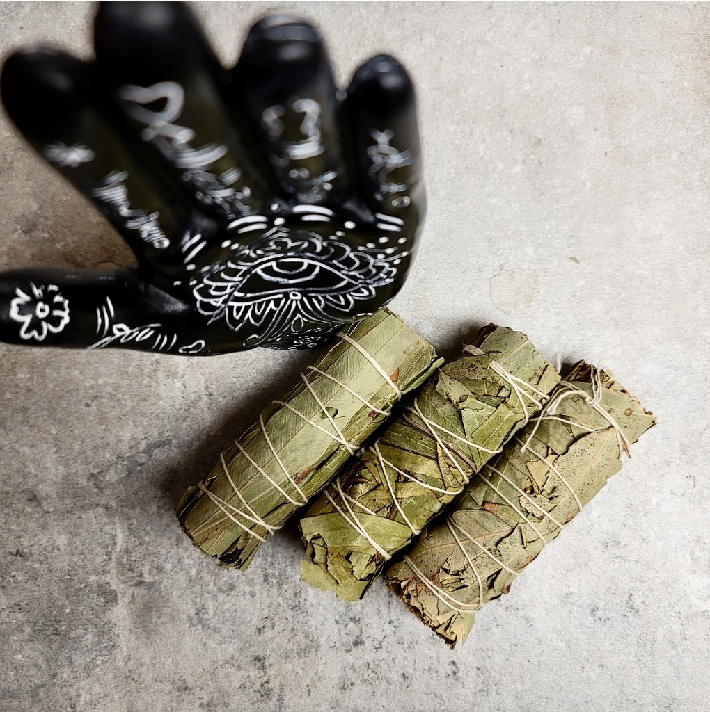 Eucalyptus Bundle - The Good Stuff Botanicals'