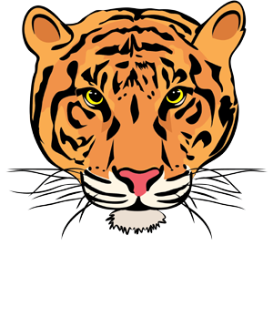 Company Logo For ROOF TIGER'