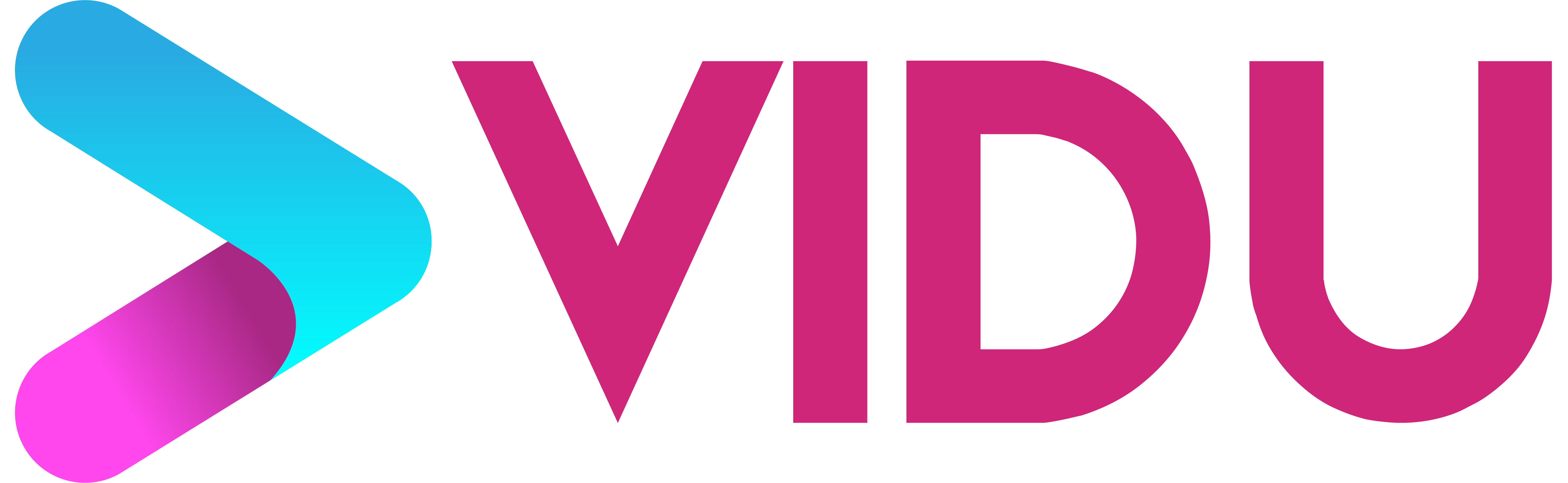 VIDU NZ Logo