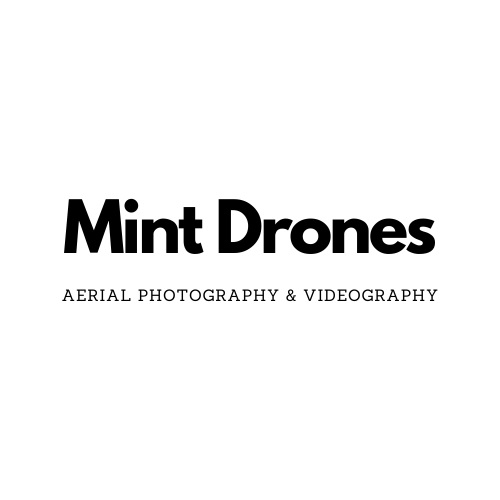 Mint Drones'