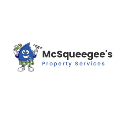 Company Logo For McSqueegee'