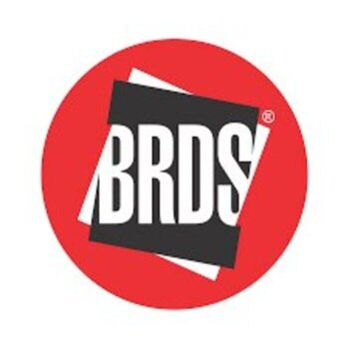 Company Logo For BRDS Drive In - NID, NIFT, NATA, UCEED, CEP'