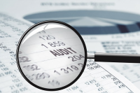 Financial Auditing Professional Services