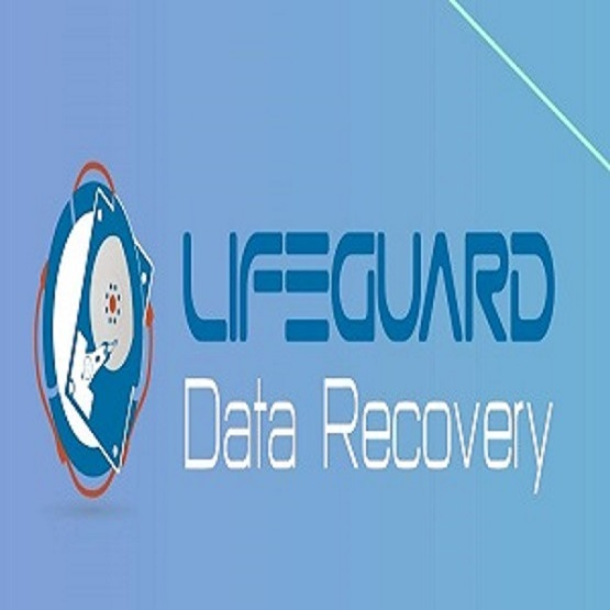 Company Logo For LifeGuard Data Recovery'