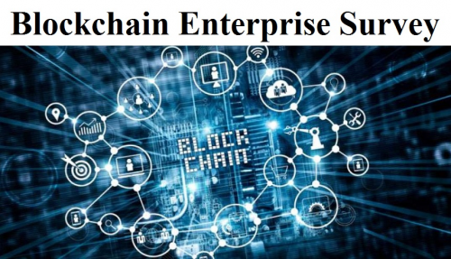 Blockchain Enterprise Survey Market'