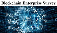 Blockchain Enterprise Survey Market