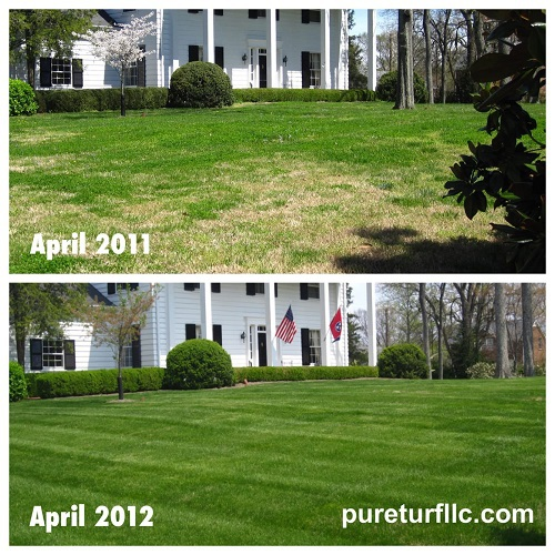 lawn fertilization company'