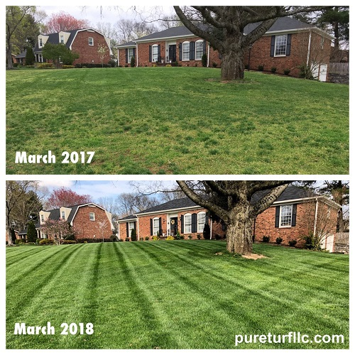 residential lawn care'