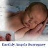 Earthly Angels Surrogacy Logo