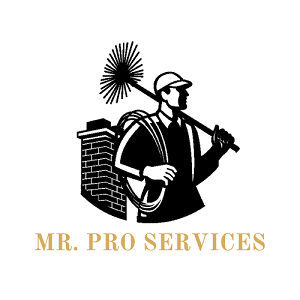 Company Logo For Mr. Pro Services - Chimney Sweep &amp;'