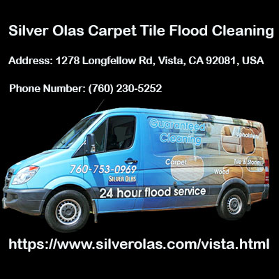 Silver Olas Carpet Tile Flood Cleaning Logo