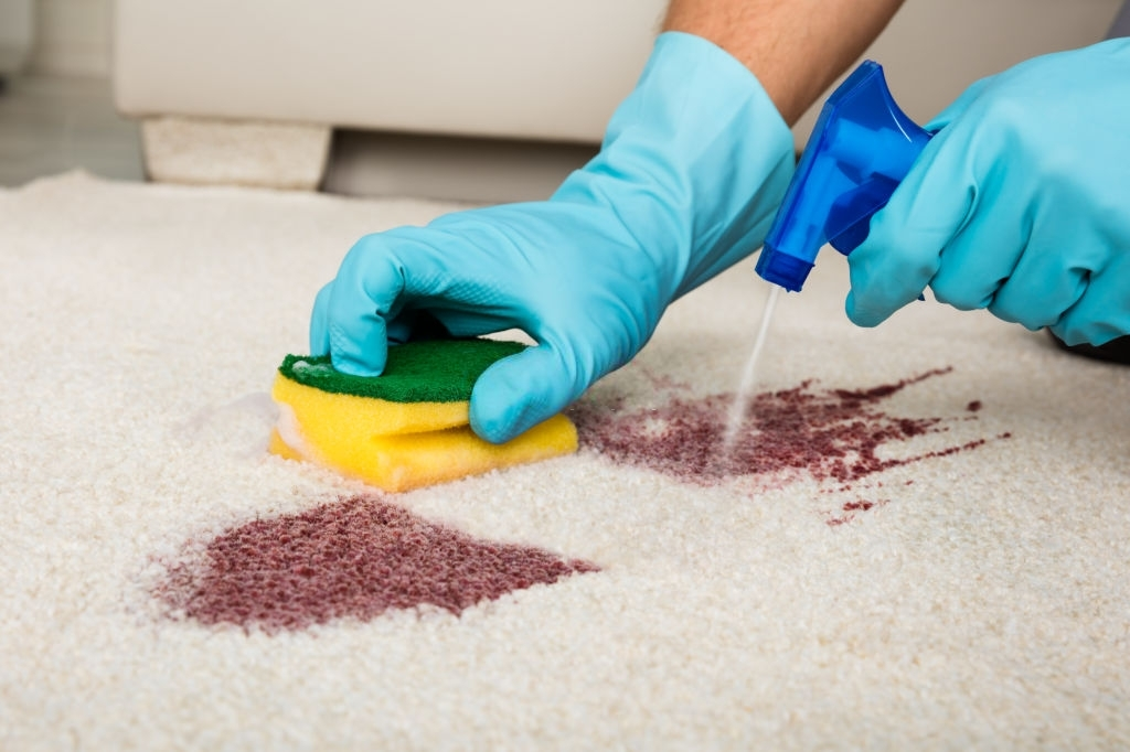 Stain Treatment Service'