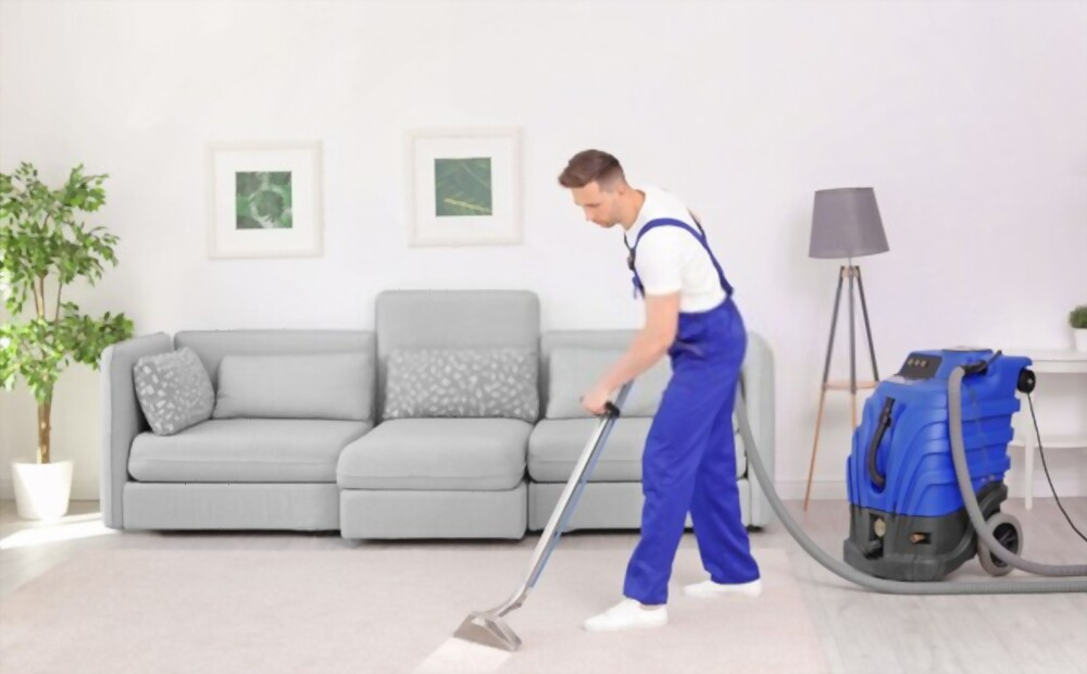 Professional Carpet Cleaner'