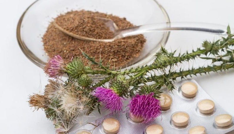 Milk Thistle Supplement