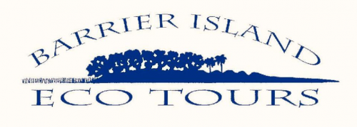 Barrier Island Eco Tours'