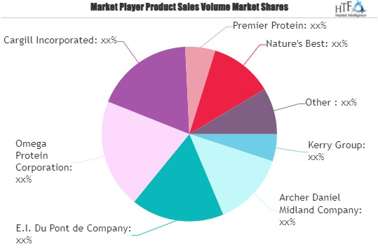 Plant Protein Drinks Market