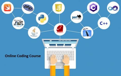 Online Programming Learn Platform Market'