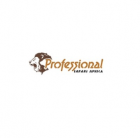 Professional Safari Africa Logo