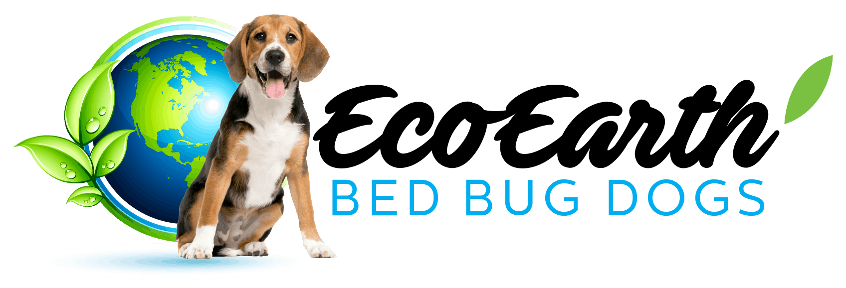 Eco Earth Bed Bug Dogs