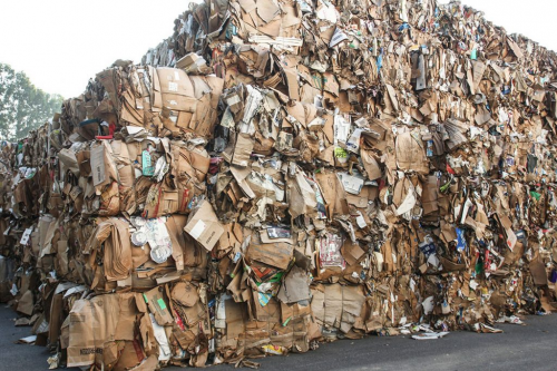 Waste Paper and Pulp Recycling Market'