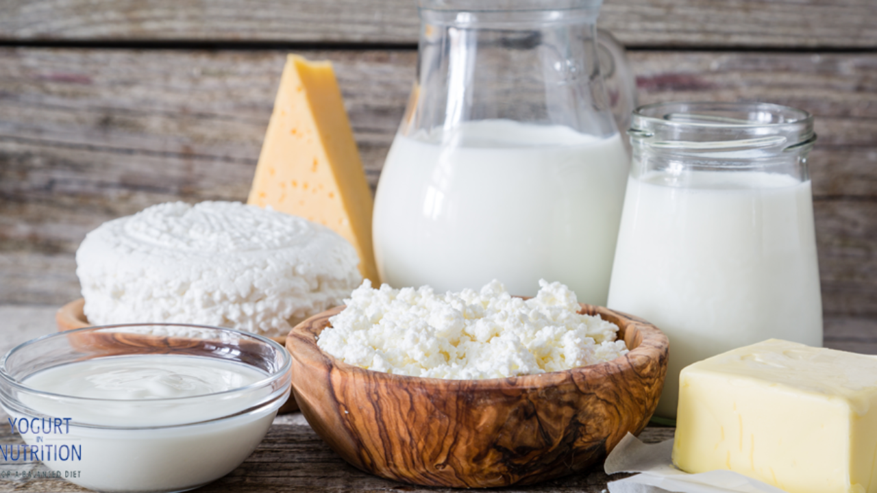 Dairy Nutrition Market