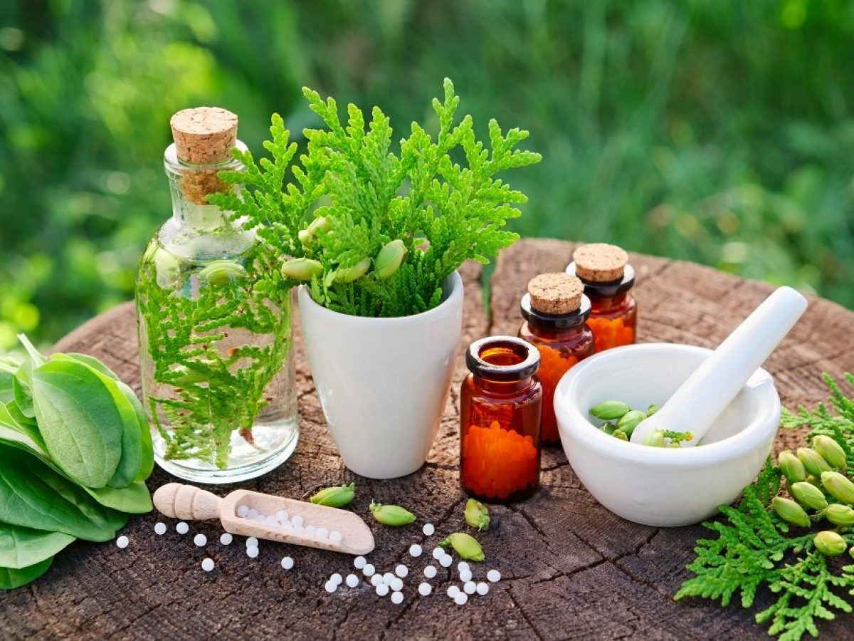 Plant Extract Drug Market