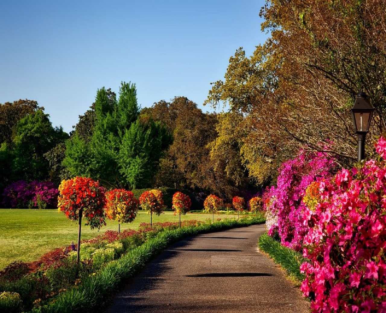 Abbotsford Landscaping Company'