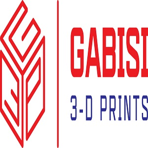 Company Logo For GABISI 3D PRINTS'