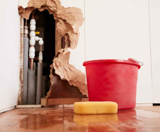 Water Mitigation'