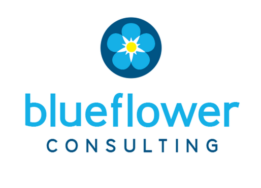 Company Logo For Blueflower Consulting'