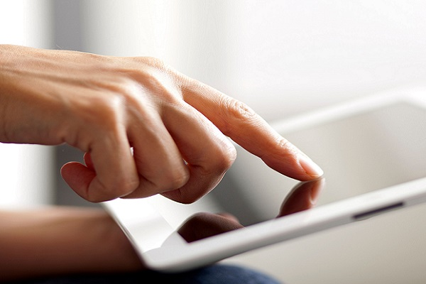 Comprehensive Pest Inspection Report'