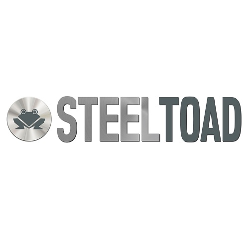 Company Logo For SteelToad Consulting LLC'