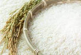Organic Rice Market'