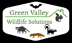 Company Logo For Green Valley Wildlife Solutions'