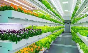 In-door Farming Market'