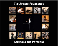 Apogee is a global philanthropic organization dedicated to d