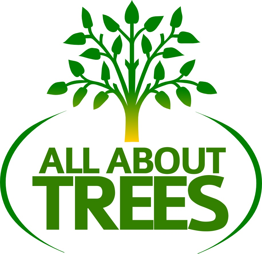 Company Logo For All About Trees'