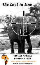 Visual Africa Production Logo