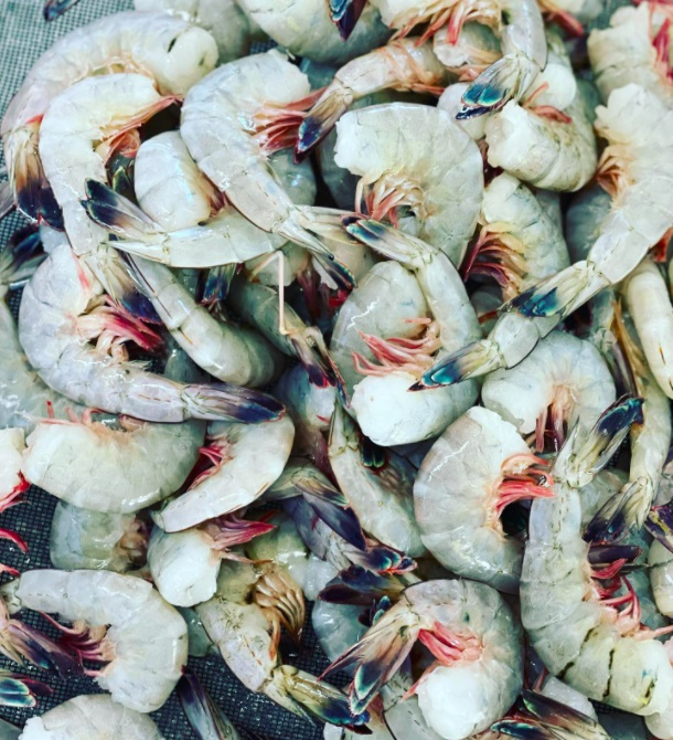 Fresh Fish Market Near Me'