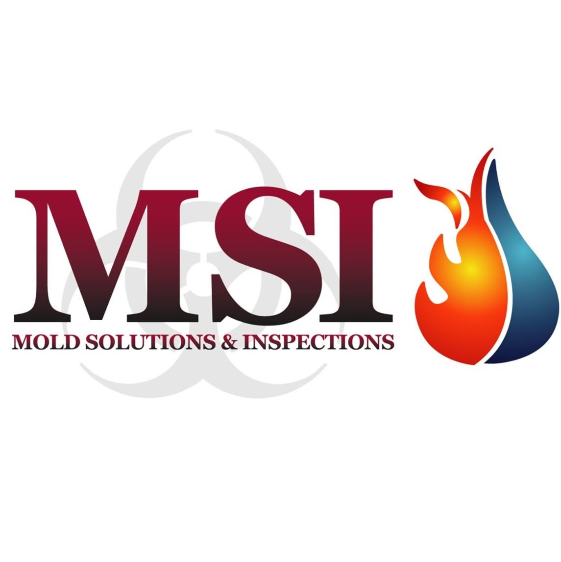 Company Logo For Mold Solutions &amp; Inspections, LLC'