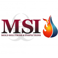Mold Solutions & Inspections, LLC Logo