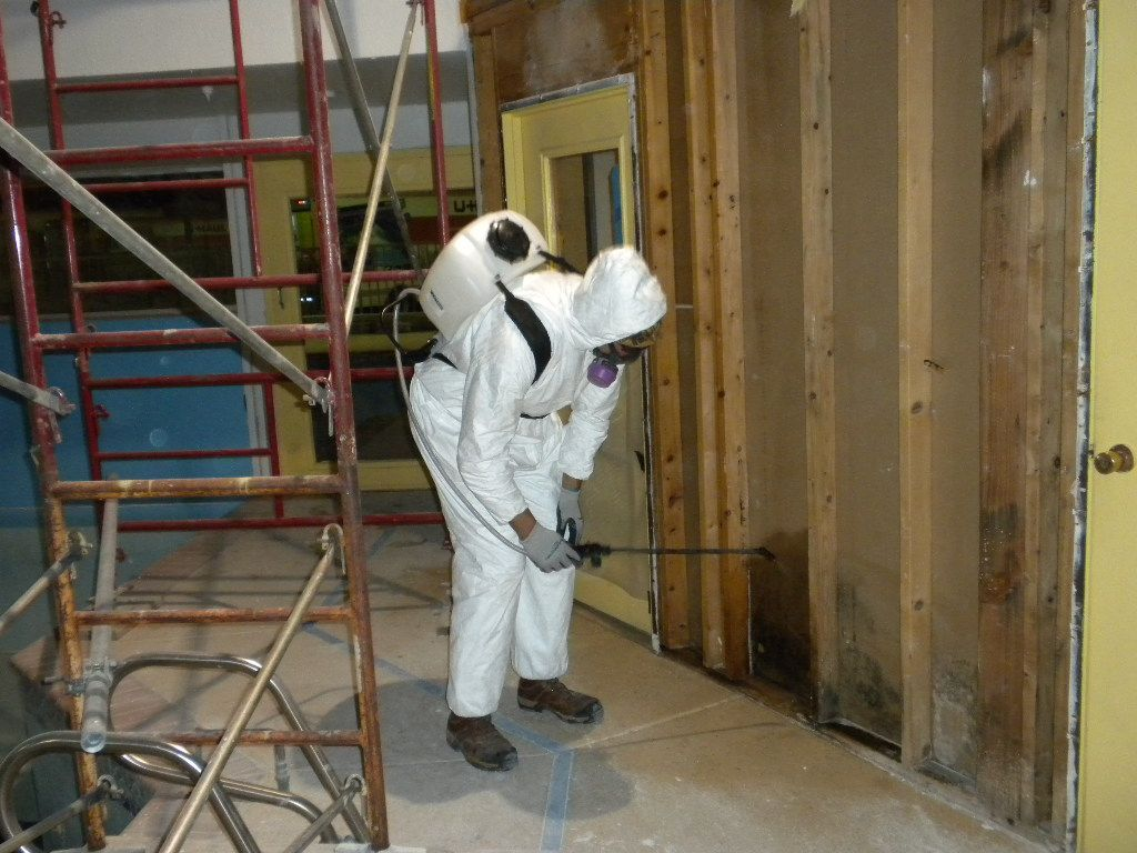 Mesa Mold Remediation- Mold Containment and Removal'