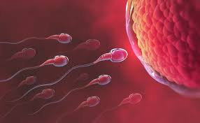 Infertility Treatment Market'