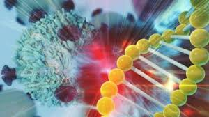 Cancer Immunomodulator Market
