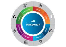 API Management'