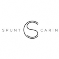 Spunt & Carin - Best Family Lawyer in Montreal Logo