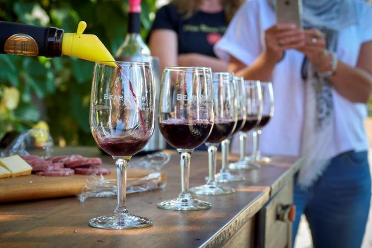 Nova Scotia Wineries'