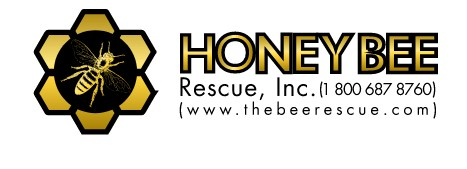 Company Logo For Honey Bee Rescue'