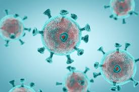 Hantavirus'